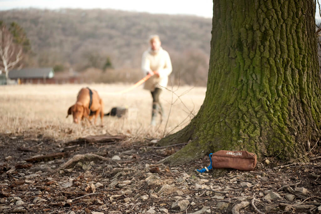 Dummytraining Hundeschule Korneuburg. Im Vordergrund sieht man einen hinter einem Baum versteckten Dummy. Im Hintergrund geht Hundehalterin mit ihrem Hund die Fährte ab.