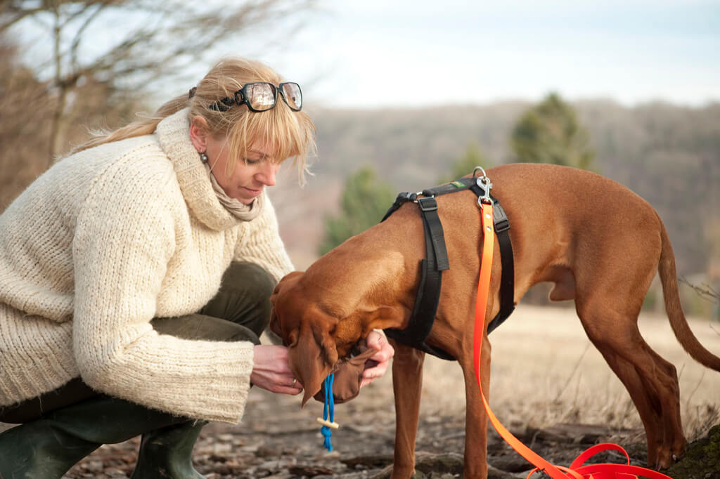 Dummytraining Wien. Hundehalterin füttert ihren großen braunen Jagdhund aus dem gefundenen Futterdummy