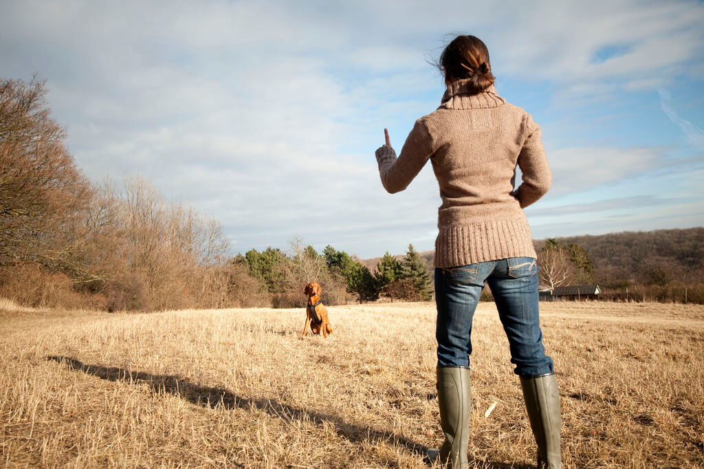 Grundgehorsam Hundetraining. Hundetrainerin Sandra Dorfner-Rösel macht eine Grundgehorsamsübung mit einem braunen großen Hund