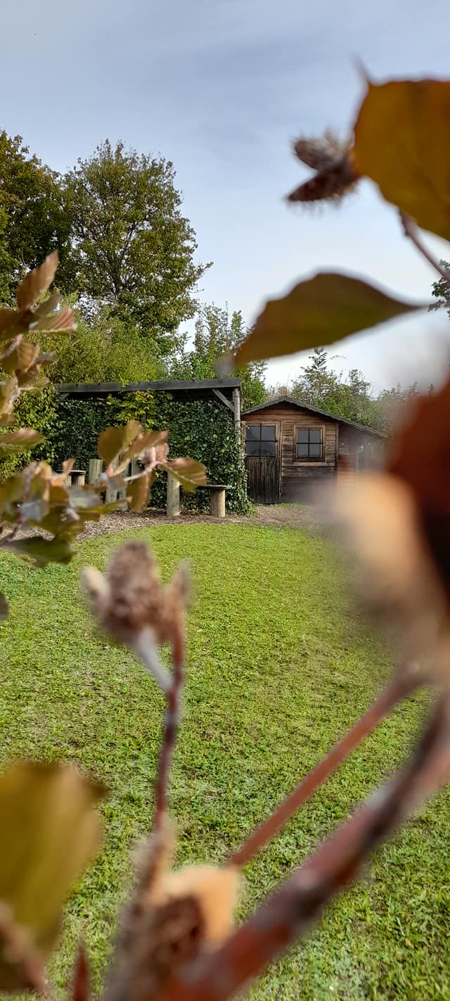 Hütte Bisamberg Hunde Trainingsplatz. Man sieht die Hütte am Hunde Trainingsplatz in Bisamberg.