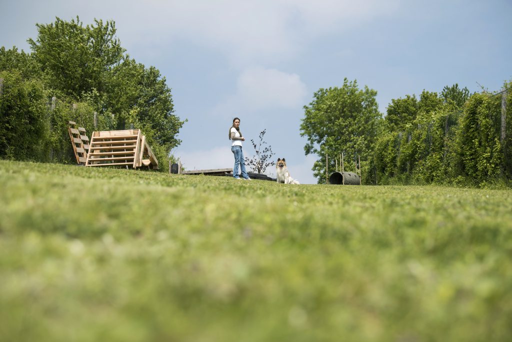 Hundeauslaufzone Korneuburg. Hundetrainerin Sandra Dorfner-Rösel steht mit einem weissbraunen Hund am Hunde Trainingsplatz in Bisamberg Korneuburg