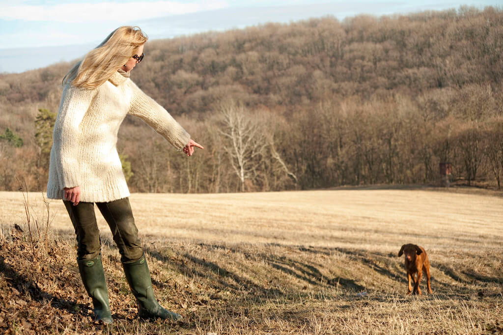 Objektsuche Hundetraining Wien. Hundehalterin zeigt mit dem Finger in die Richtung, in der ihr brauner Hund das Objekt suchen soll.