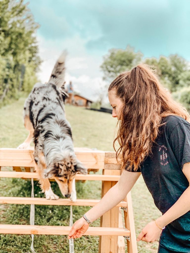 Trainingsplatz mieten Korneuburg. Junge Frau übt das Klettern auf einer Holzbrücke am Hunde Trainingsplatz in Bisamberg - Korneuburg